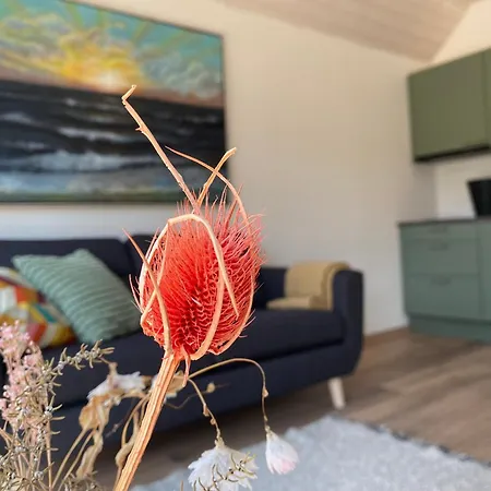 Esehytter Luxury Near Nymindegab